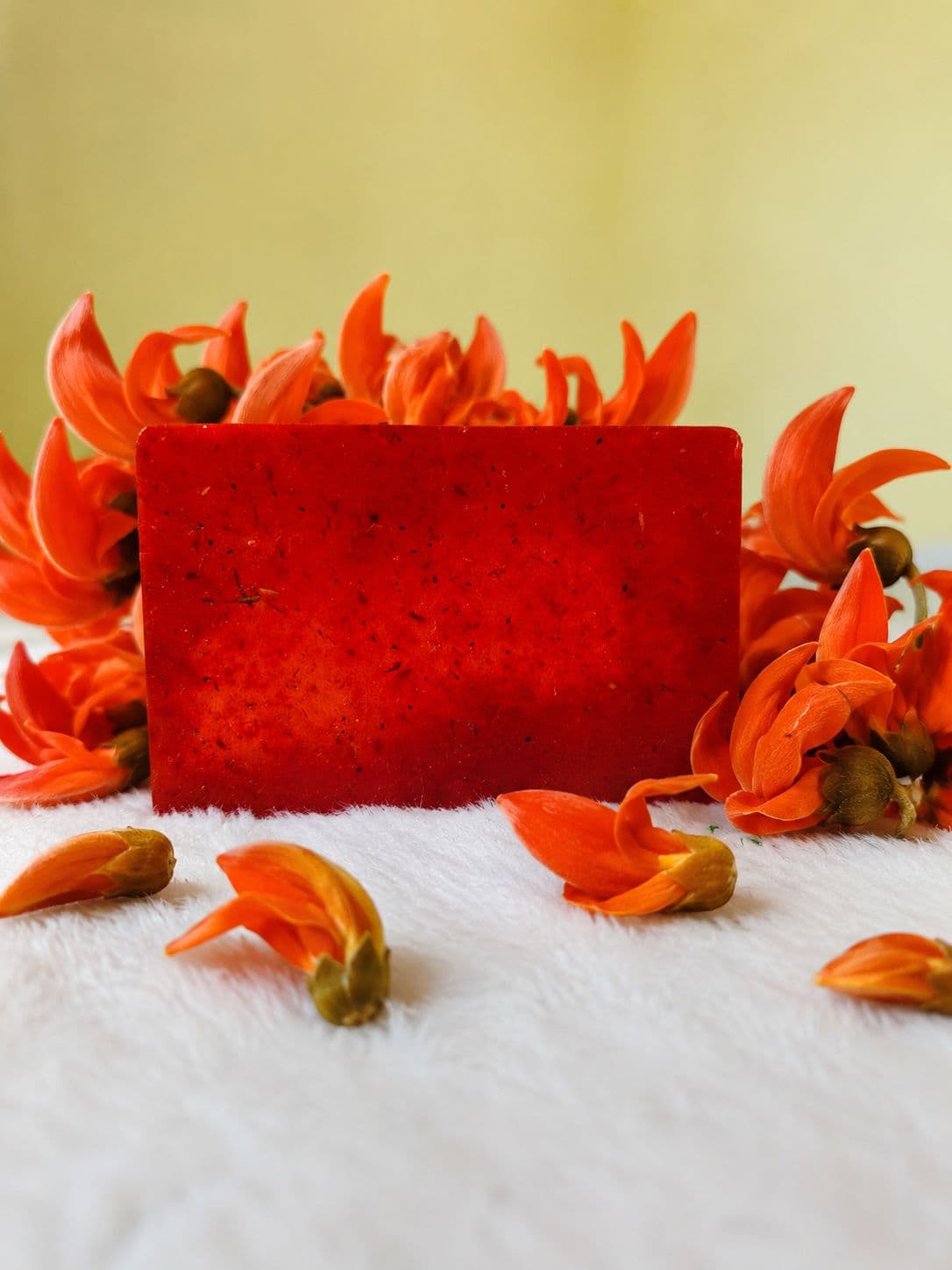 Flame of the Forest — main product photo